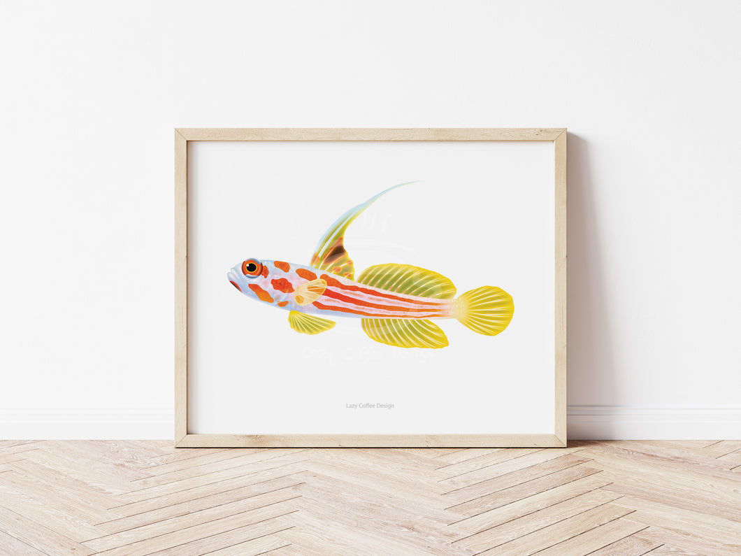 Yasha Goby Fine Art Print