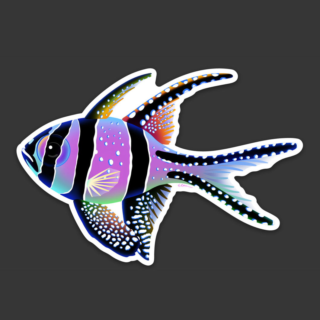 Rainbow Banggai “Fin” sticker
