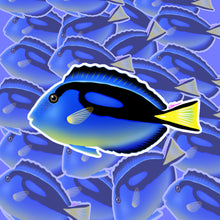 Load image into Gallery viewer, Blue Hippo Tang Sticker
