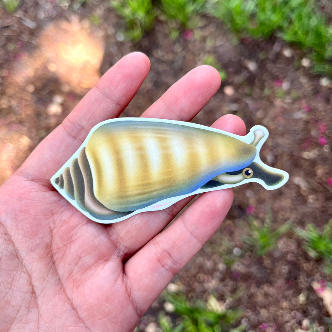 Tiger Conch Snail Sticker