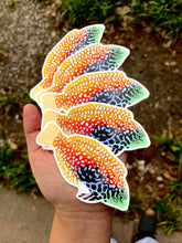 Load image into Gallery viewer, Leopard Wrasse Sticker
