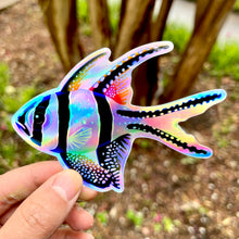 Load image into Gallery viewer, Rainbow Banggai “Fin” sticker/ Holographic
