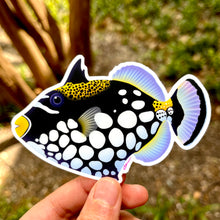 Load image into Gallery viewer, Clown triggerfish Sticker
