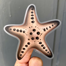 Load image into Gallery viewer, Chocolate Chip Sea Star sticker (Clear background)
