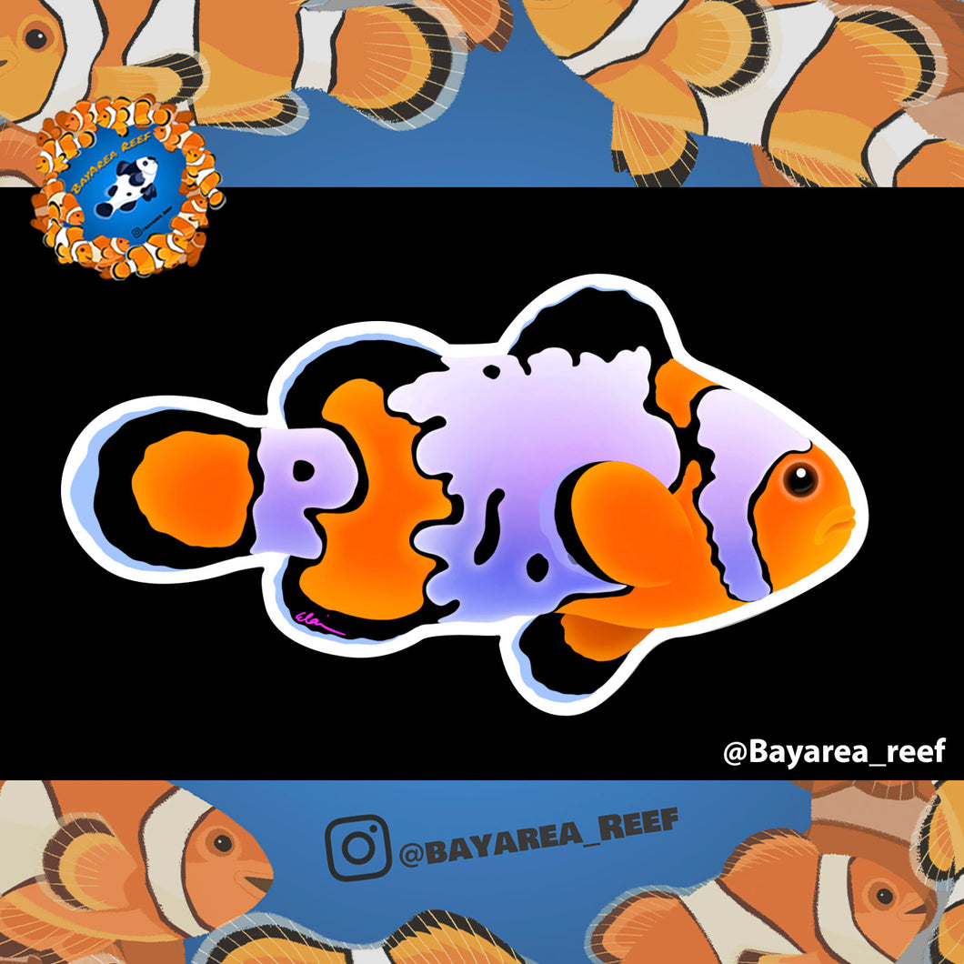 BayAreaReef Clownfish Sticker/ collab with @bayarea_reef