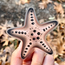 Load image into Gallery viewer, Chocolate Chip Sea Star sticker (Clear background)
