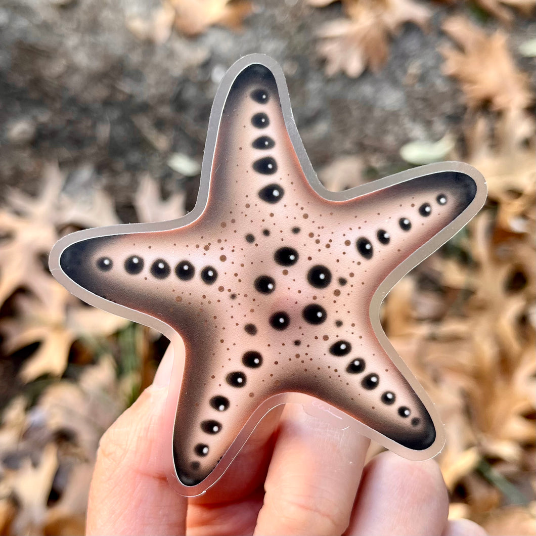 Chocolate Chip Sea Star sticker (Clear background)