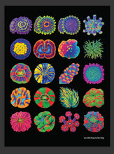 Load image into Gallery viewer, Lazy Coffee Design  Coral Poster
