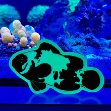 Load image into Gallery viewer, Glow in the dark snowflake clownfish Sticker
