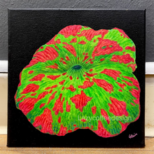 Load image into Gallery viewer, Jawbreaker on 8 x 8 &quot;

