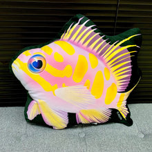 Load image into Gallery viewer, Blotched Anthias Pillow/ limited edition 18”
