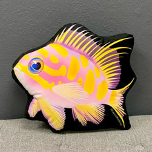 Load image into Gallery viewer, Blotched Anthias Pillow/ limited edition 18”
