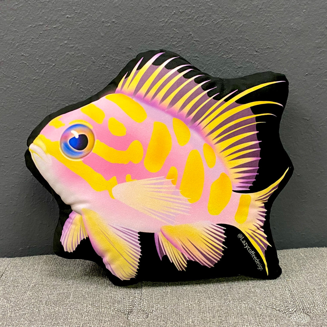 Blotched Anthias Pillow/ limited edition 18”