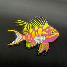 Load image into Gallery viewer, Blotched Anthias / Holographic
