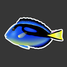 Load image into Gallery viewer, Blue Hippo Tang Sticker
